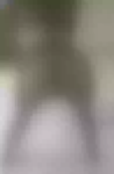 Live sex webcam photo for NaughtySlender30 #3444106