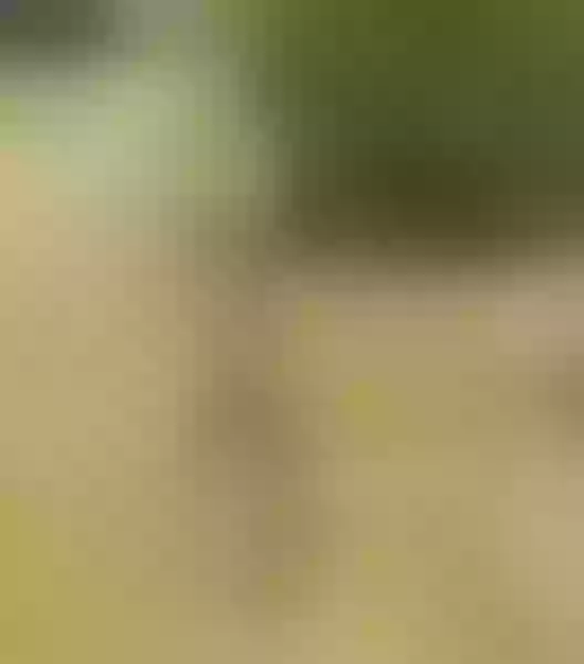 Live sex webcam photo for NaughtySlender30 #3444103