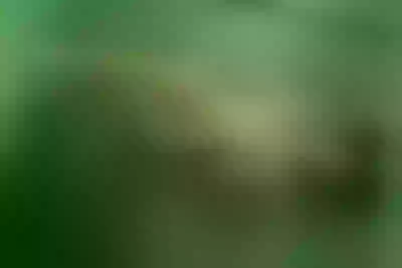 Live sex webcam photo for LesliePierce #3522714