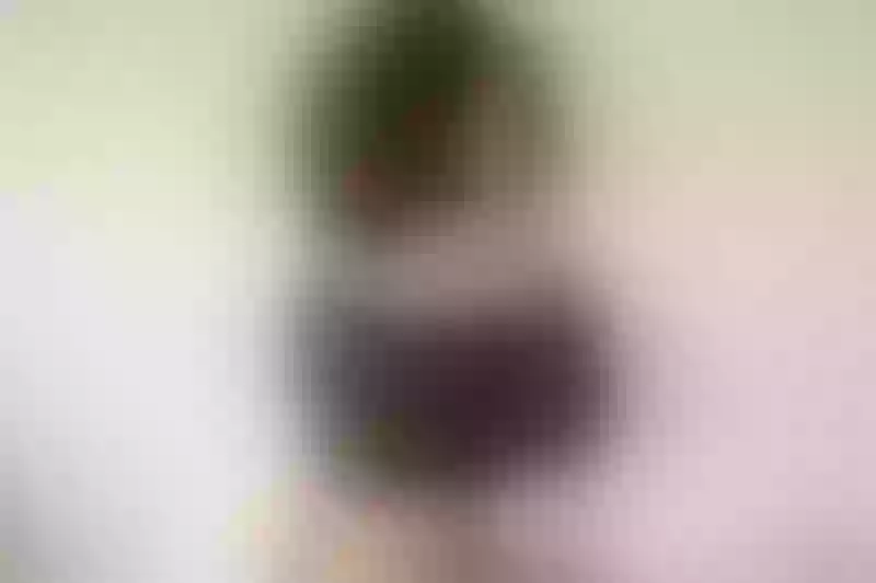 Live sex webcam photo for MelissaFlint #3174710