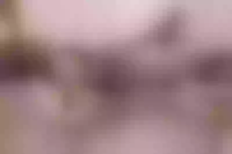Live sex webcam photo for AlmaCortez #3234018