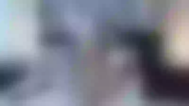 Live sex webcam photo for EMILYBONNETh #3278893