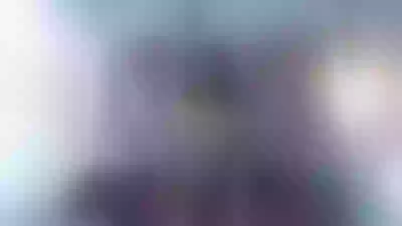 Live sex webcam photo for EMILYBONNETh #3293707