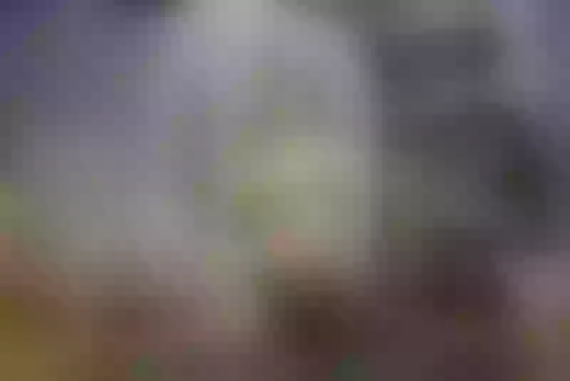 Live sex webcam photo for JuliettaCut21 #7448181