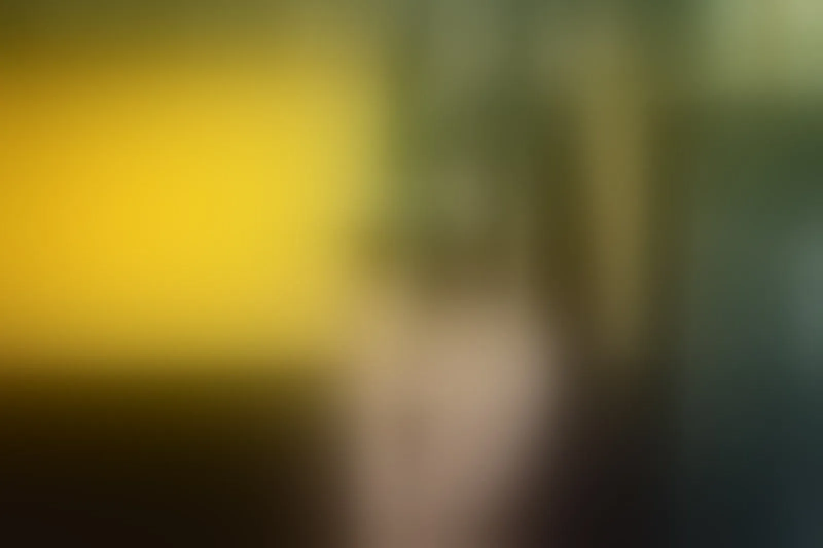 Live sex webcam photo for ToryStClair #7278867