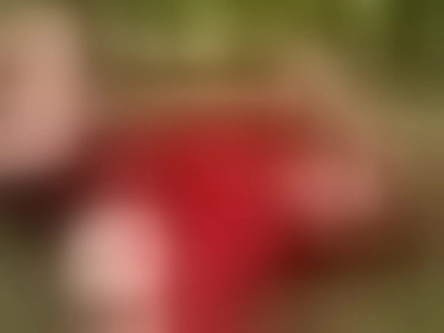 Live sex webcam photo for KatyaRogers #8688824