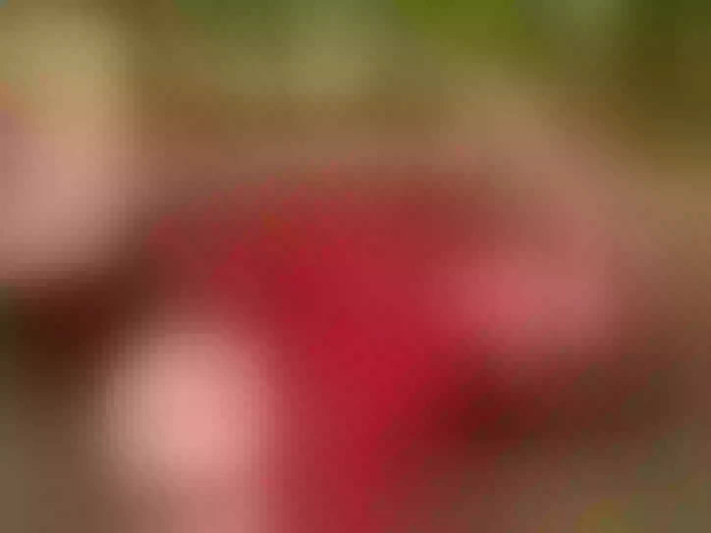 Live sex webcam photo for KatyaRogers #8688824