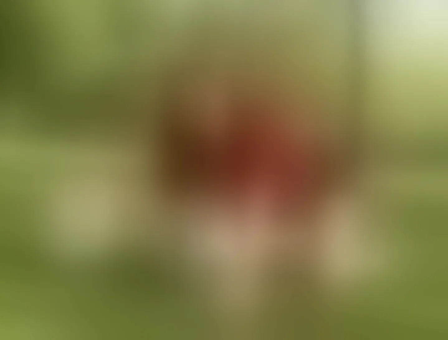 Live sex webcam photo for KatyaRogers #8688823