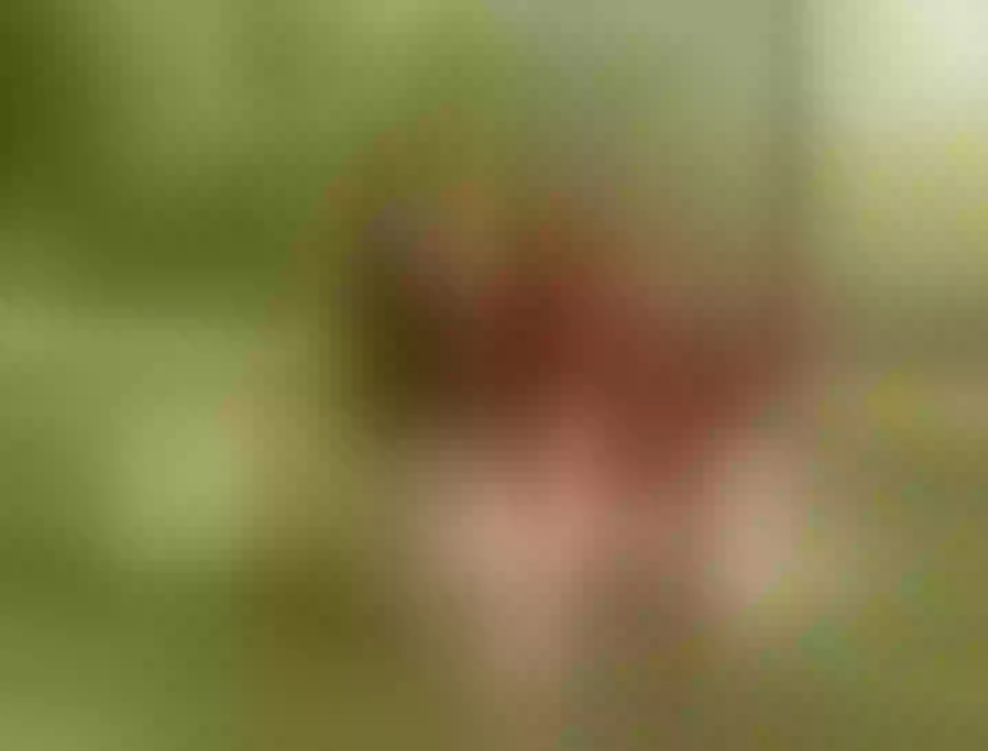 Live sex webcam photo for KatyaRogers #8688823