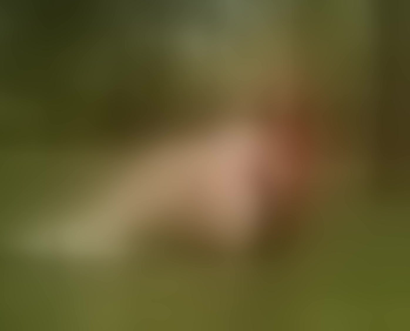 Live sex webcam photo for KatyaRogers #8688818