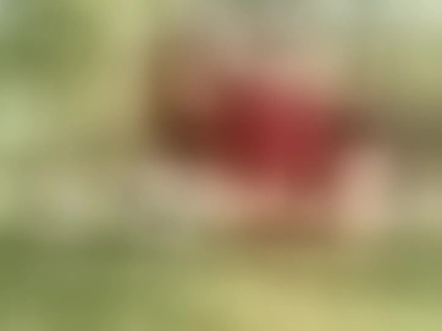 Live sex webcam photo for KatyaRogers #8688821