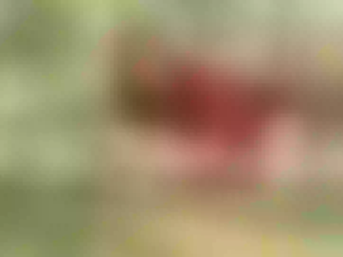 Live sex webcam photo for KatyaRogers #8688821