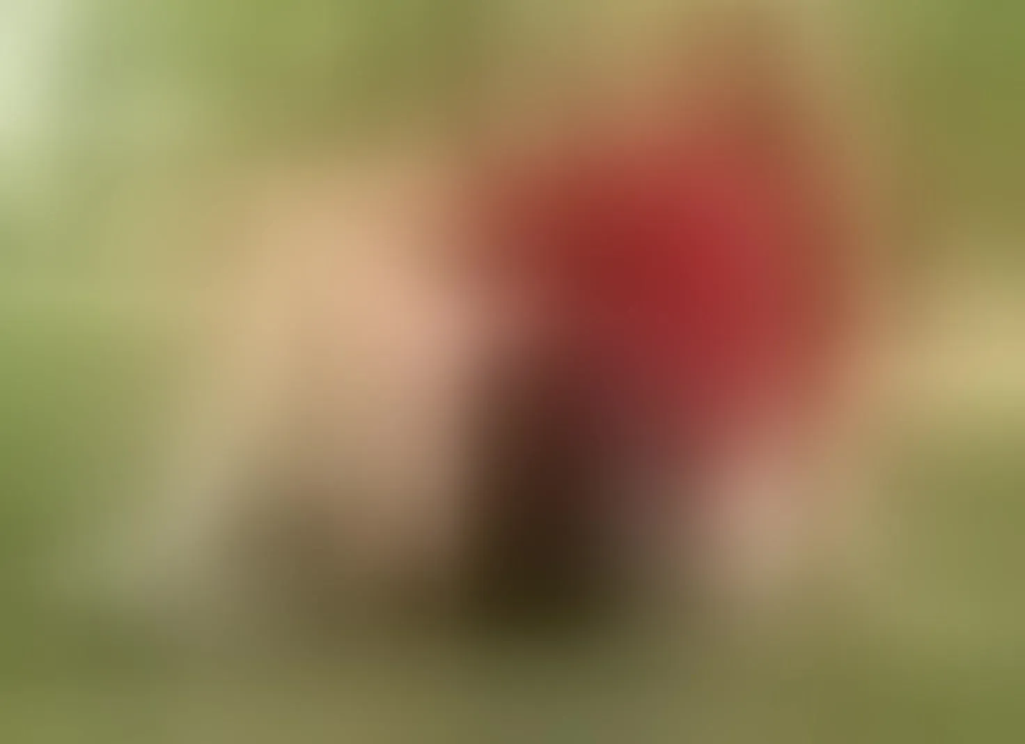 Live sex webcam photo for KatyaRogers #8688817
