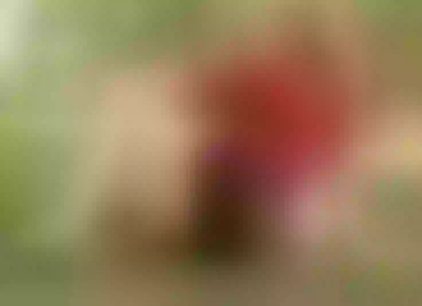 Live sex webcam photo for KatyaRogers #8688817