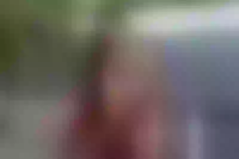 Live sex webcam photo for EvaRivera #3223426