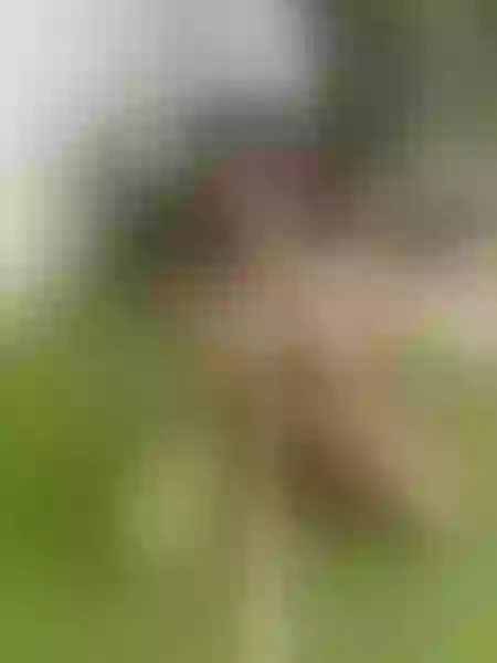 Live sex webcam photo for AlissonTaylo #3538438