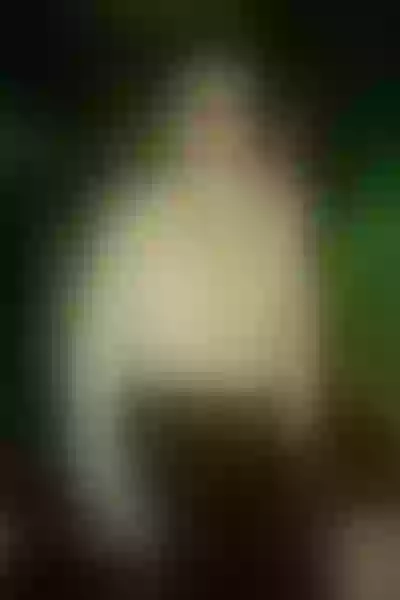 Live sex webcam photo for Ramonadelavega #3651551