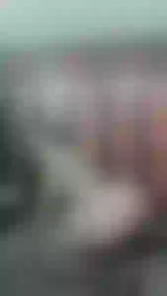 Live sex webcam photo for SalomeRoyers #3183512