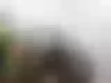 Live sex webcam photo for ValeerySexxx #3045424