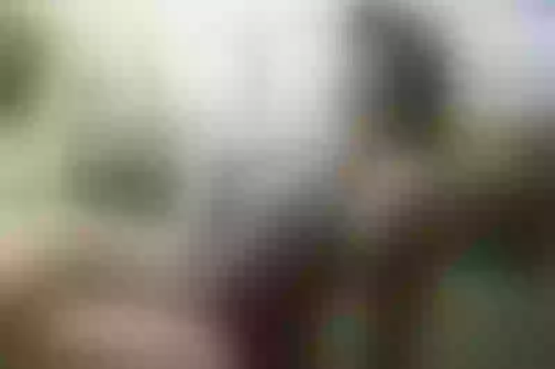 Live sex webcam photo for KATIEWILL #3012441