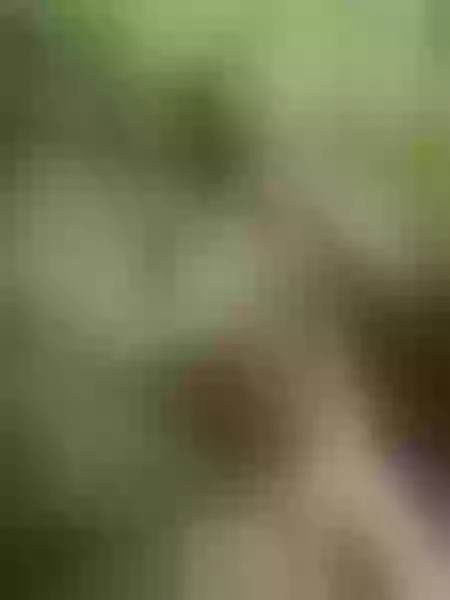 Live sex webcam photo for LindsayOwen #3415237