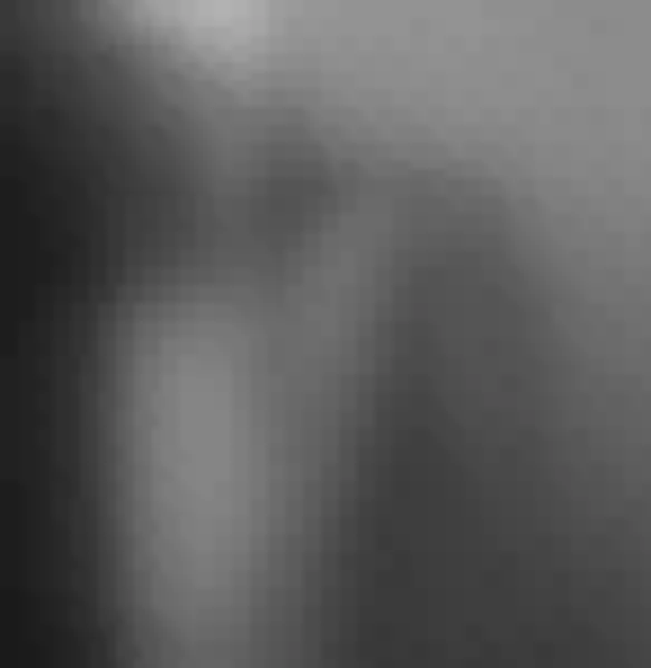 Live sex webcam photo for ShanaraWil #5585471