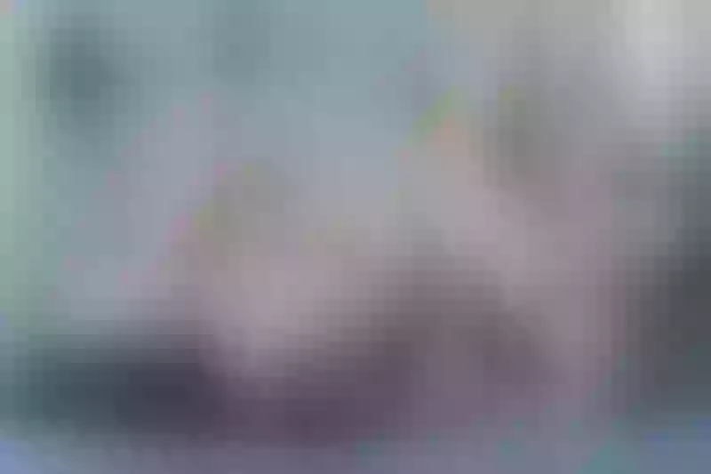 Live sex webcam photo for abinjuli #3425228