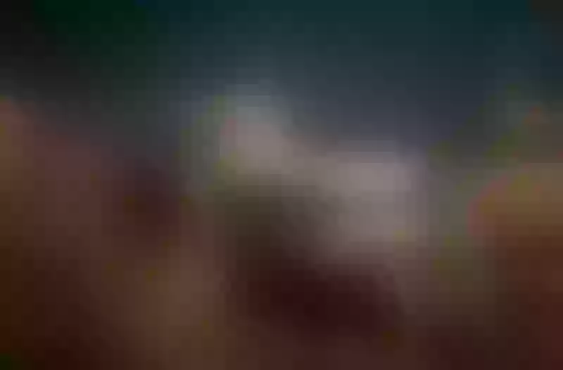 Live sex webcam photo for MindyGrace #6151070