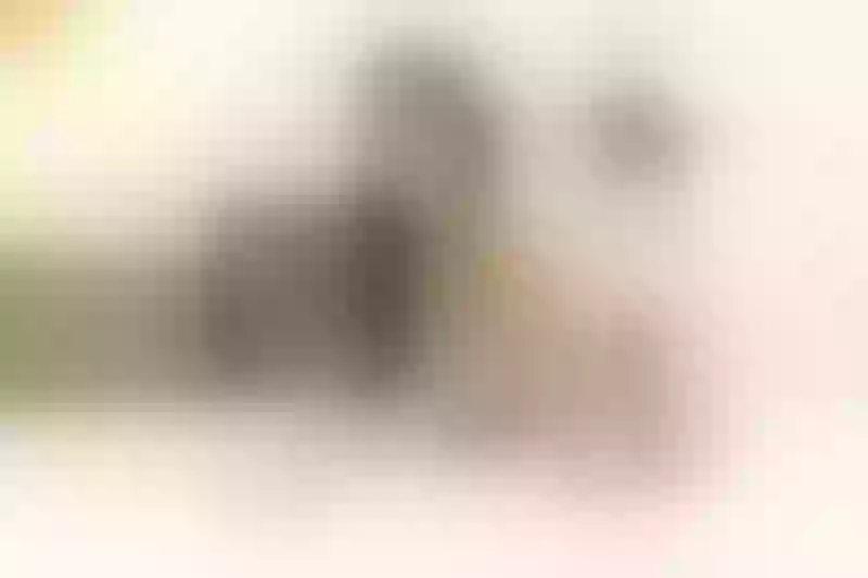 Live sex webcam photo for HanaHarriz #3643848