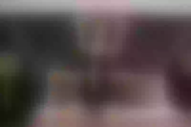Live sex webcam photo for AvrilLewis #3036780