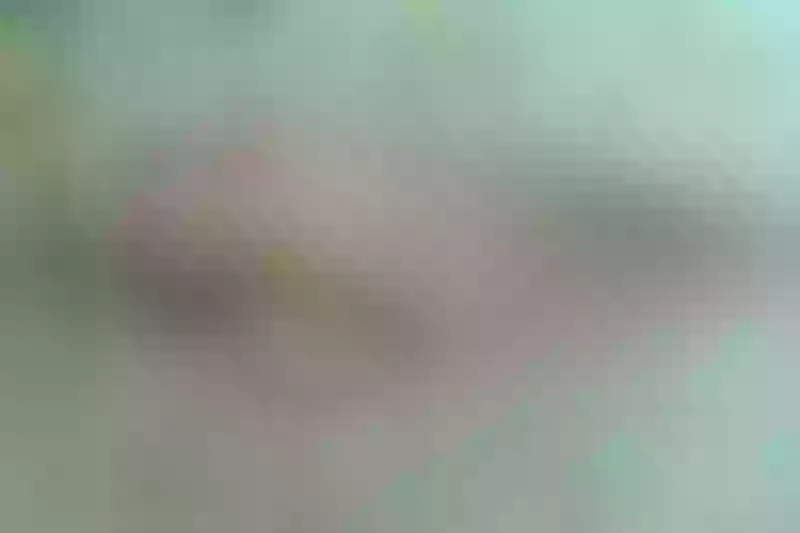 Live sex webcam photo for LisaThomsonn #3045038