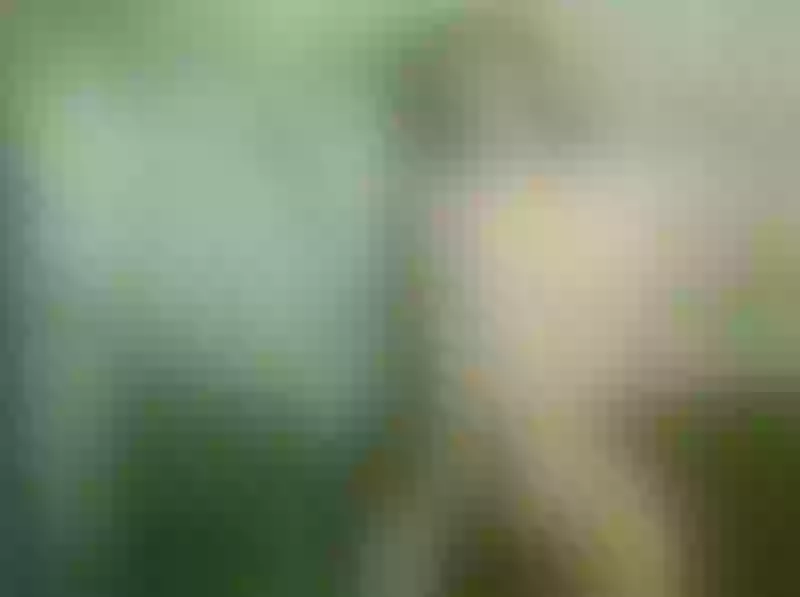 Live sex webcam photo for ElizabethSins #3193010