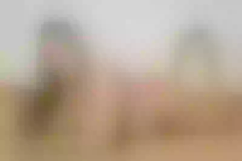 Live sex webcam photo for SamyMills #4212716