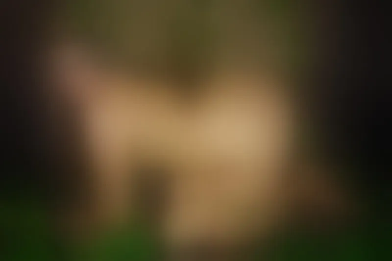 Live sex webcam photo for SamyMills #3050016