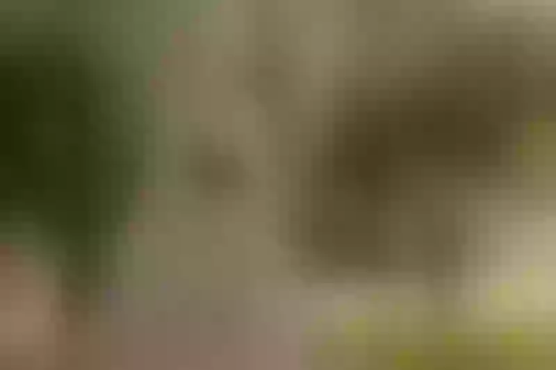 Live sex webcam photo for SusieThompsson #3067287
