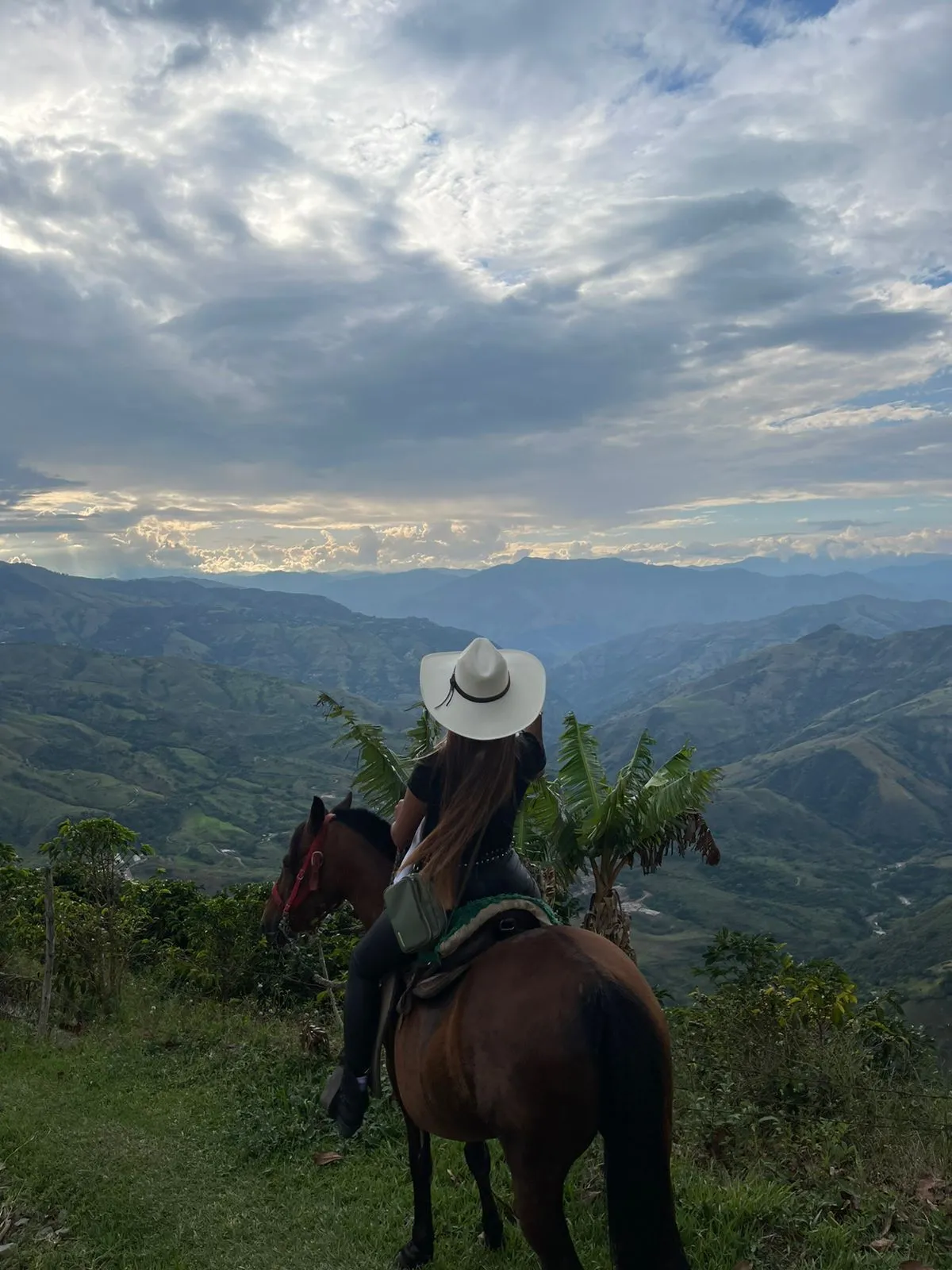 Live sex webcam photo for ishabellalopez #7125106