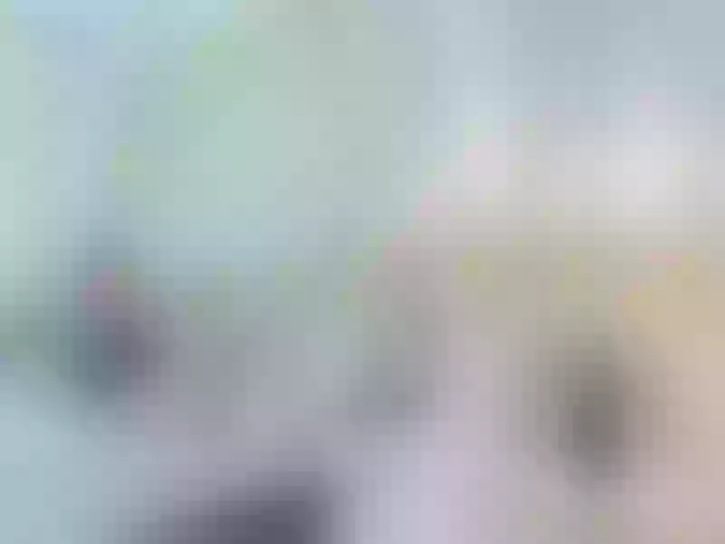 Live sex webcam photo for JenniferBurton #3125740