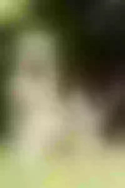 Live sex webcam photo for NyxWytte #3590001