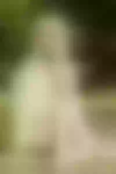 Live sex webcam photo for NyxWytte #3589999