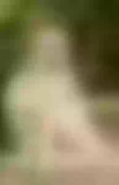 Live sex webcam photo for NyxWytte #3590009