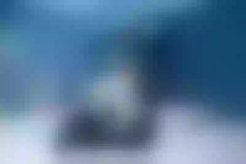 Live sex webcam photo for SairaRed #3571303