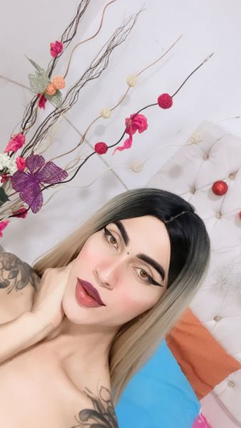 Live sex webcam photo for Keinstonee #3046574