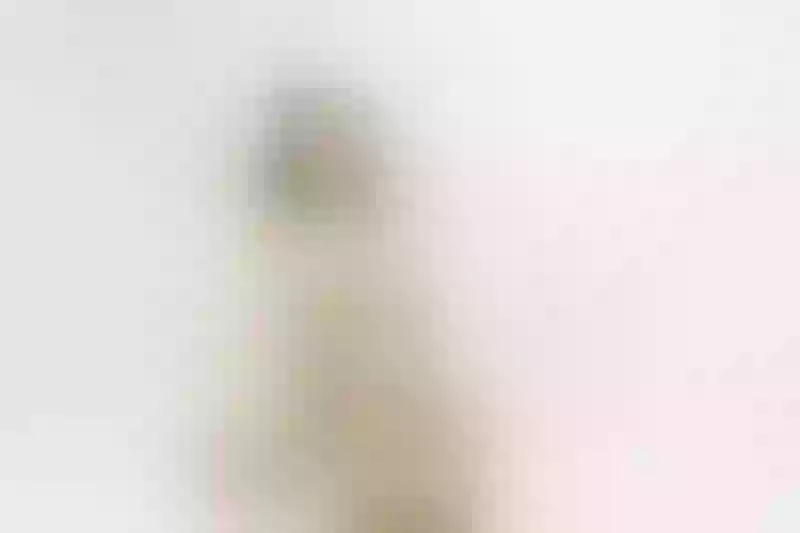 Live sex webcam photo for AnieBrown #3610142
