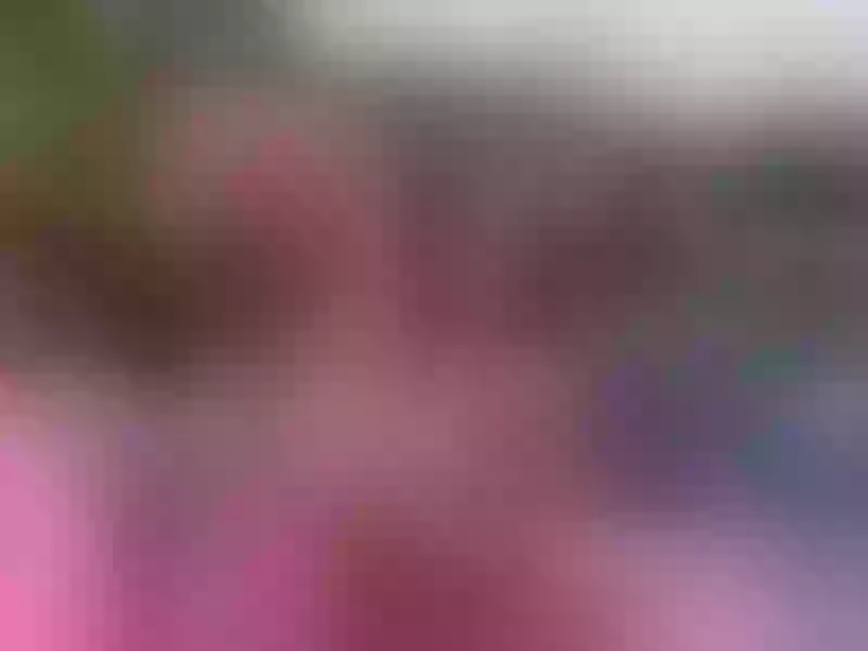 Live sex webcam photo for EmmaClarkson #3200199