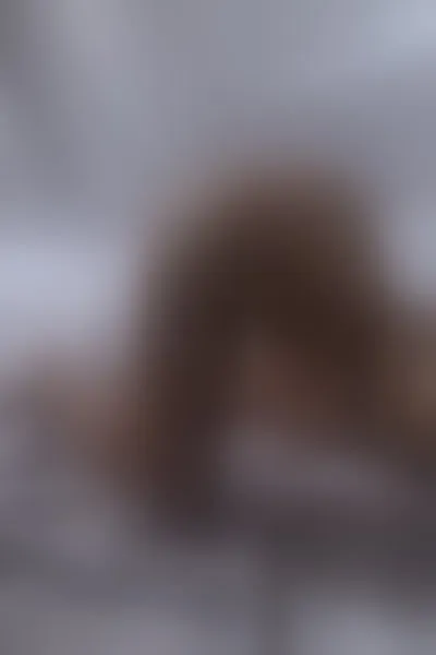 Live sex webcam photo for Bellajjones #4233558