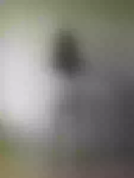 Live sex webcam photo for IsadoraRosehill #3340437
