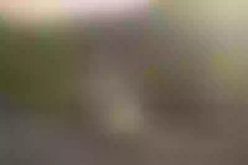 Live sex webcam photo for MaggieMacKenzie #3613605