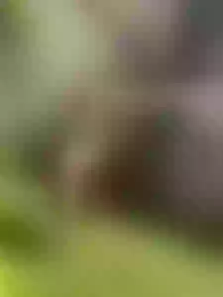 Live sex webcam photo for SofiaOlayaa #3278632