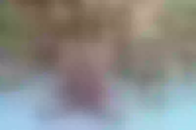Live sex webcam photo for BrianaDeep #3131039