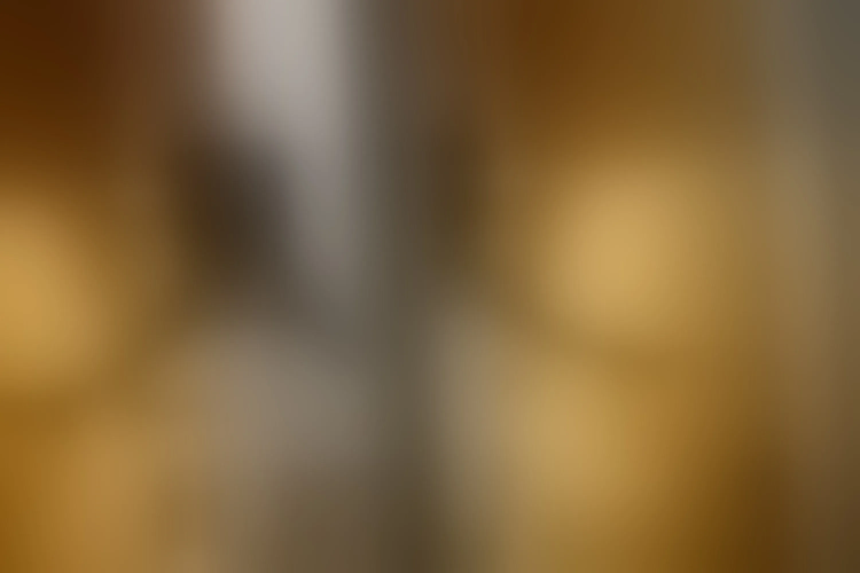 Live sex webcam photo for EilleenMadsen #7376231